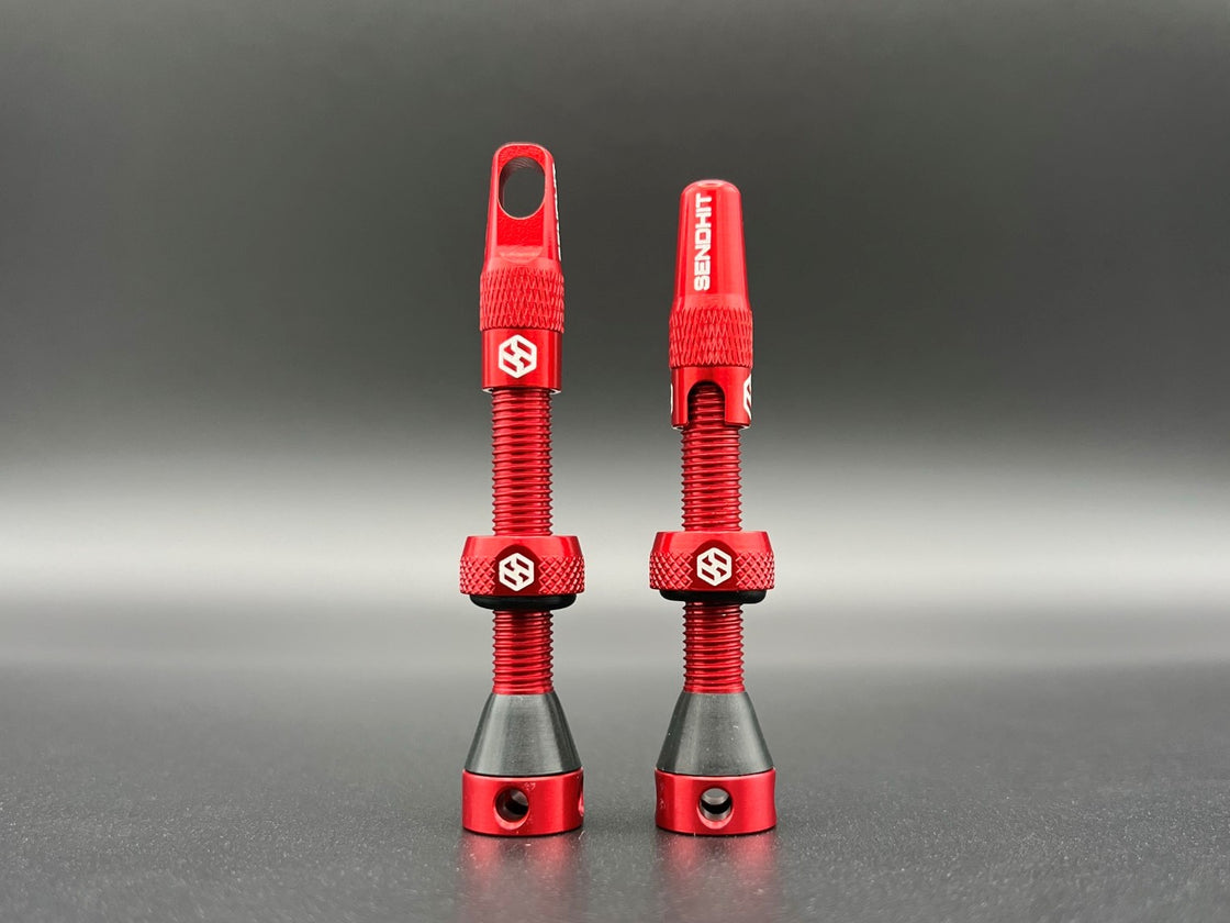 TUBELESS VALVES