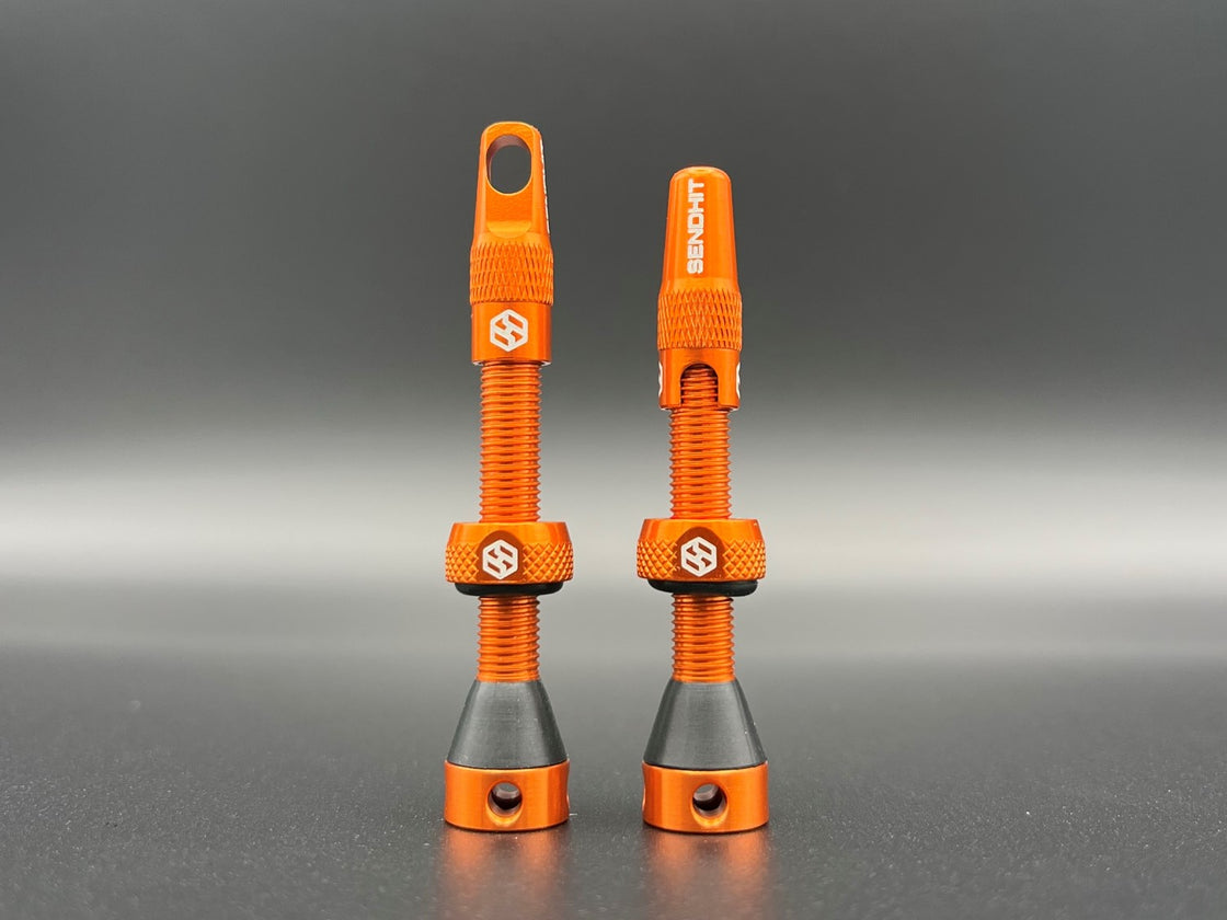 VALVES TUBELESS