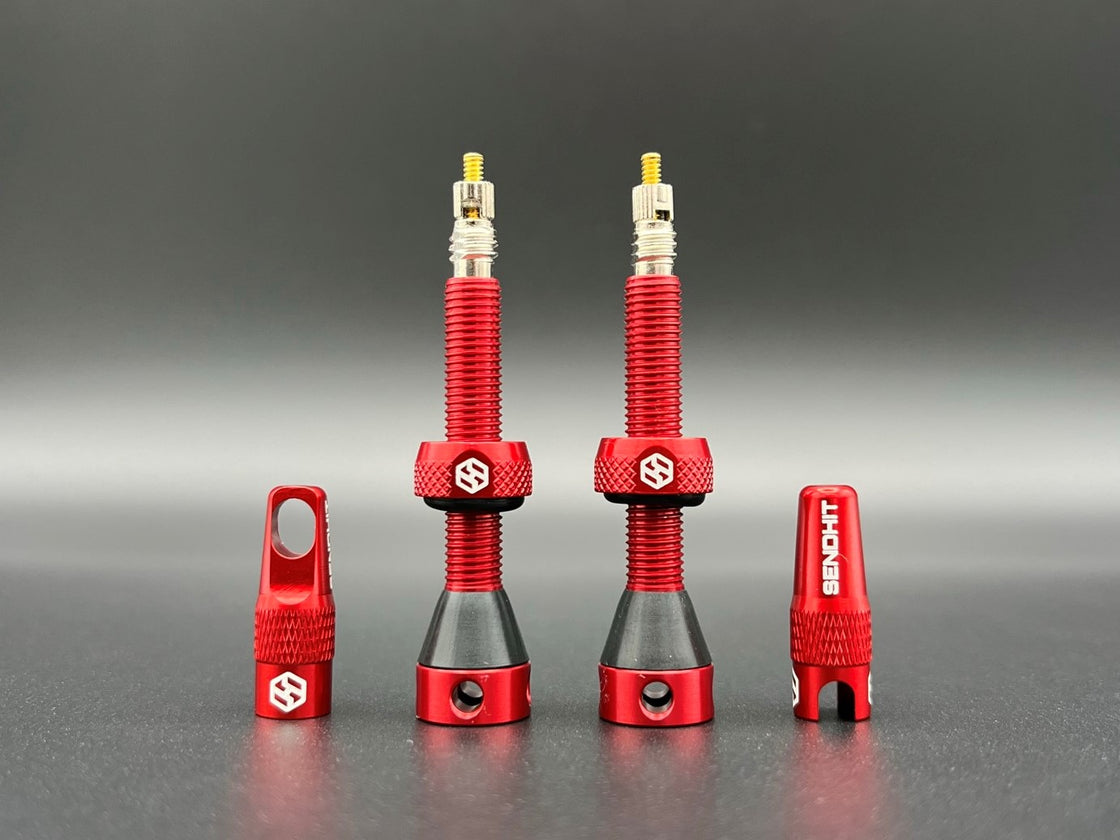VALVES TUBELESS